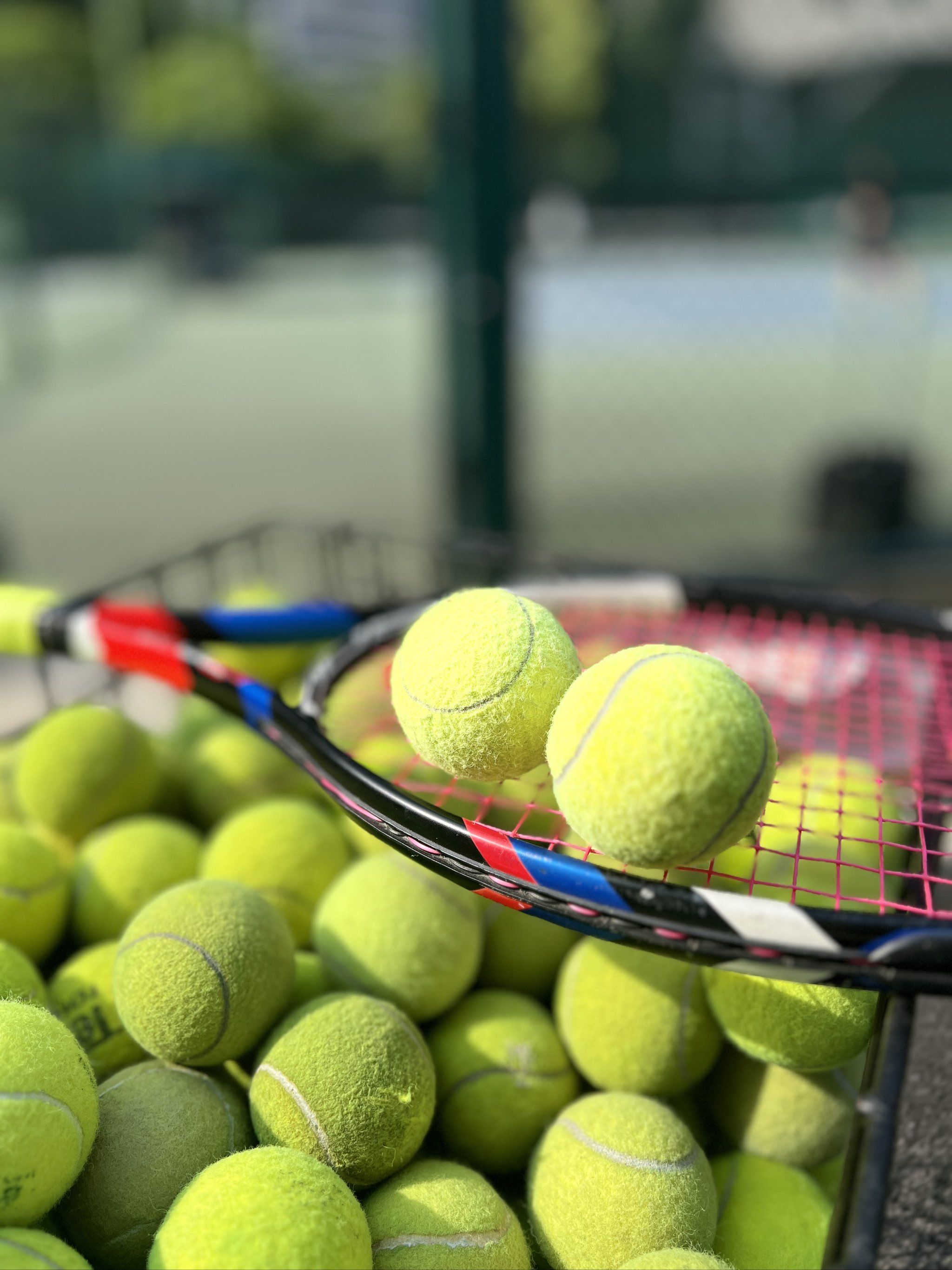 加大对体育 加大对体育